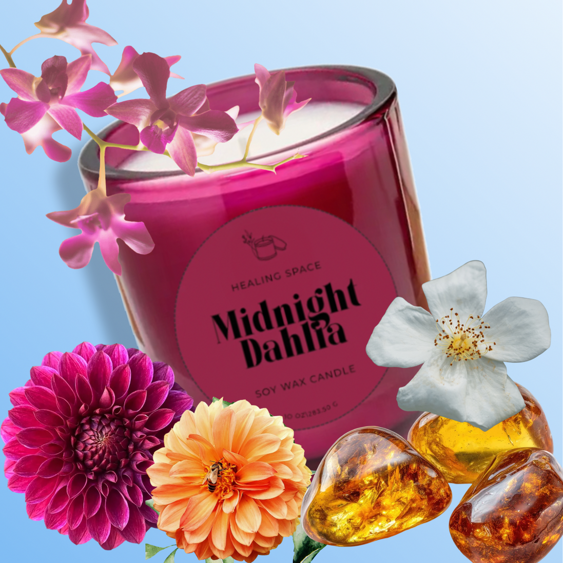 Midnight Dahlia